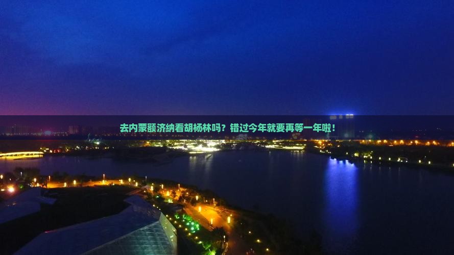 七月到内蒙额济纳胡杨林旅行社