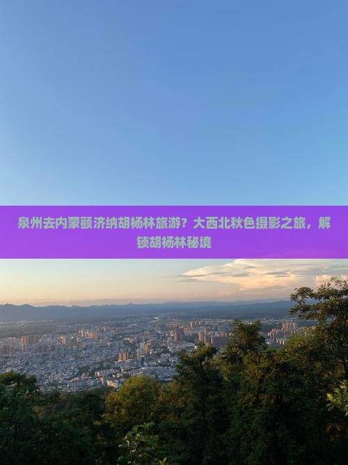 泉州去内蒙额济纳胡杨林旅游