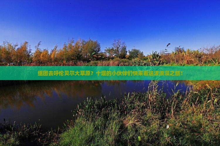 十堰去内蒙呼伦贝尔大草原团体旅游 十堰去内蒙呼伦贝尔大草原团体旅游
