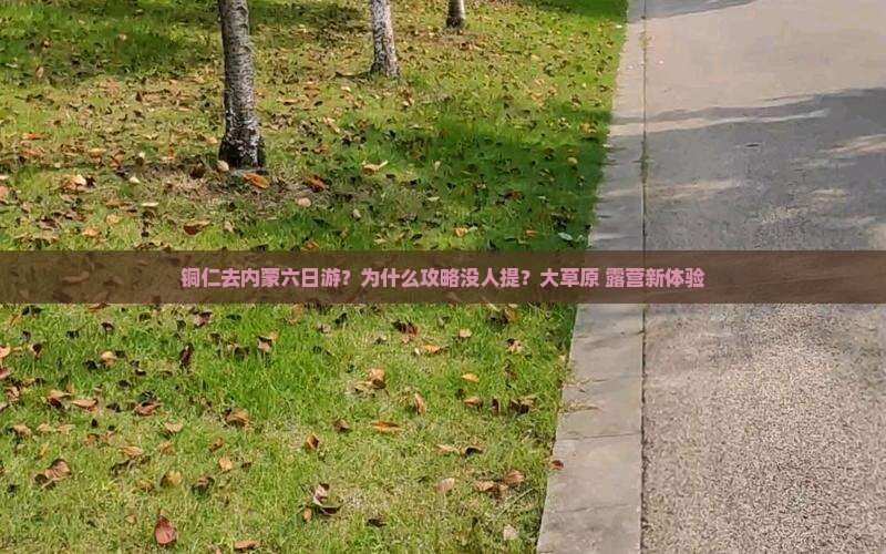 铜仁去内蒙六日游