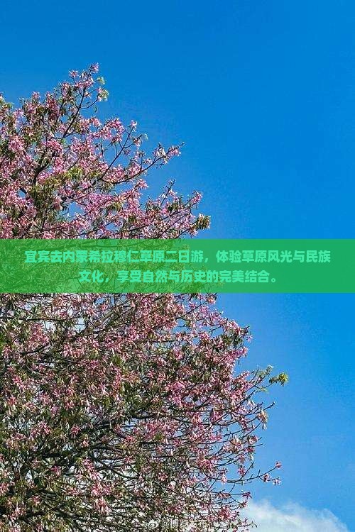 宜宾去内蒙希拉穆仁草原二日游