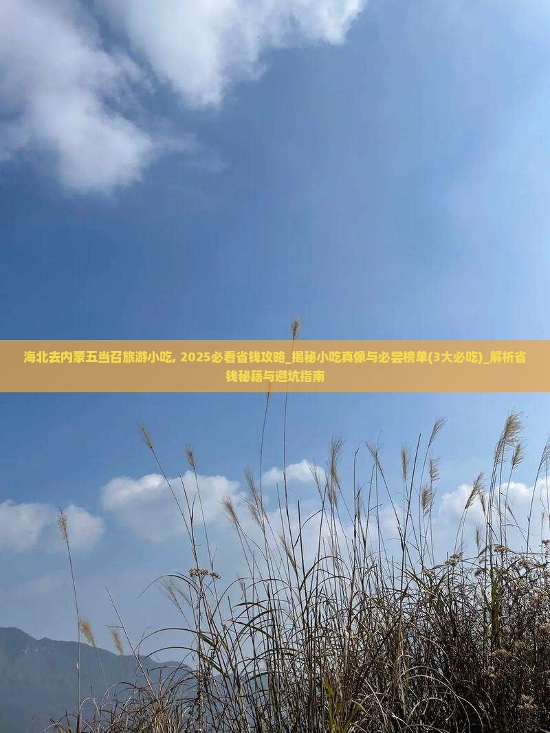 海北去内蒙五当召旅游小吃