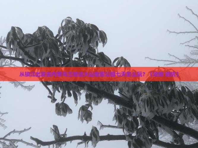 镇江到内蒙乌兰哈达火山地质公园七日游