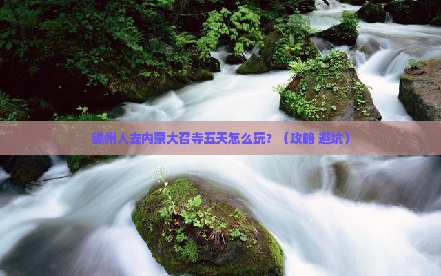 锦州去内蒙大召寺五日游