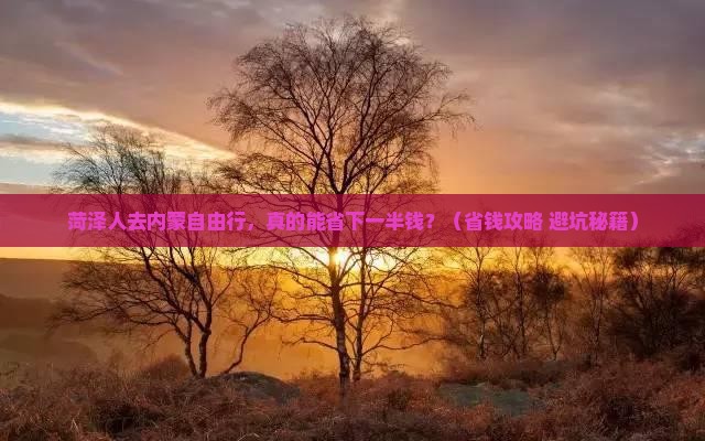 菏泽去内蒙自由团