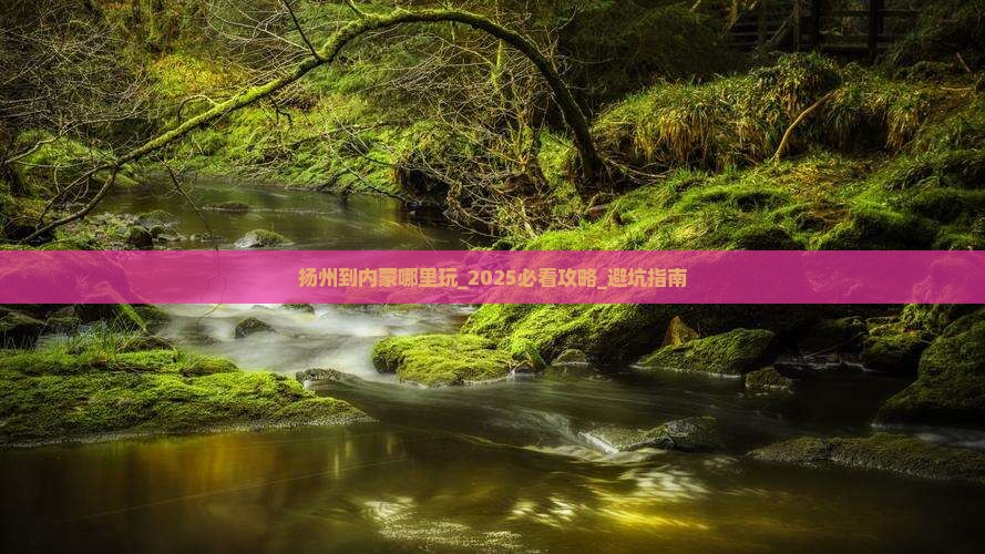 扬州到内蒙哪里玩