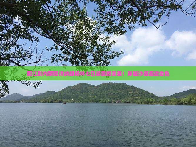阳江到内蒙额济纳胡杨林七日游
