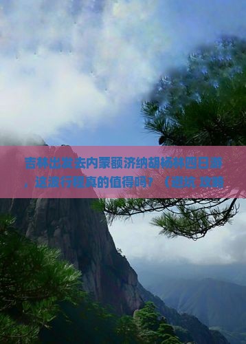 吉林去内蒙额济纳胡杨林四日游