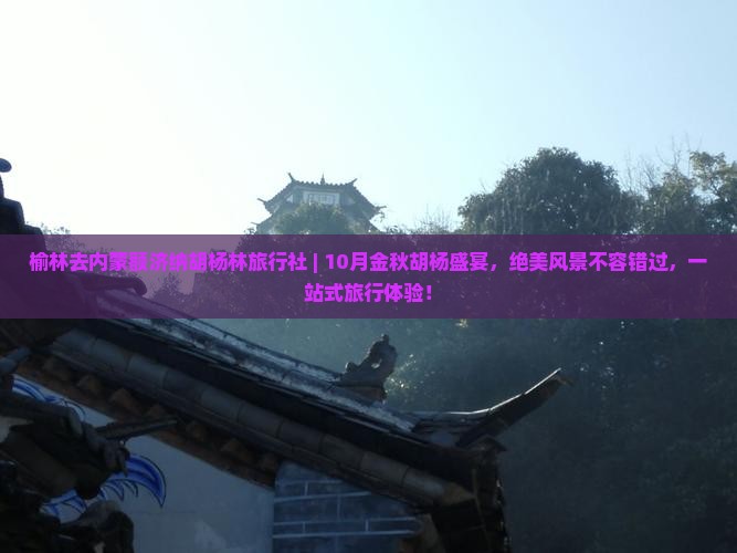 榆林去内蒙额济纳胡杨林旅行社