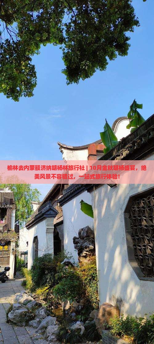 榆林去内蒙额济纳胡杨林旅行社