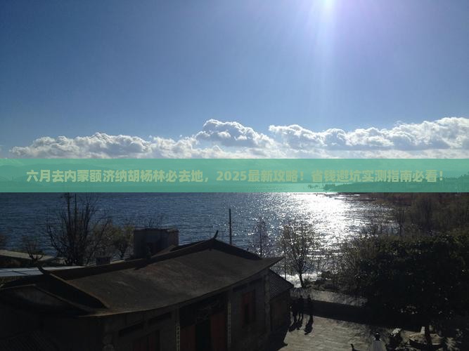 六月去内蒙额济纳胡杨林必去地
