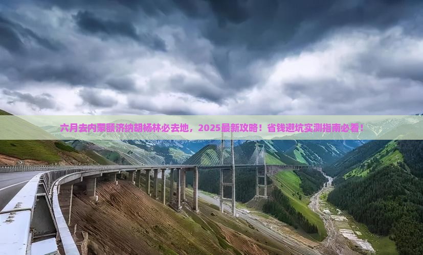 六月去内蒙额济纳胡杨林必去地