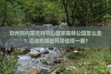钦州到内蒙阿尔山国家森林公园景点