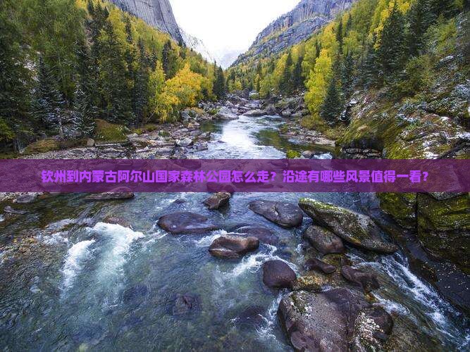 钦州到内蒙阿尔山国家森林公园景点