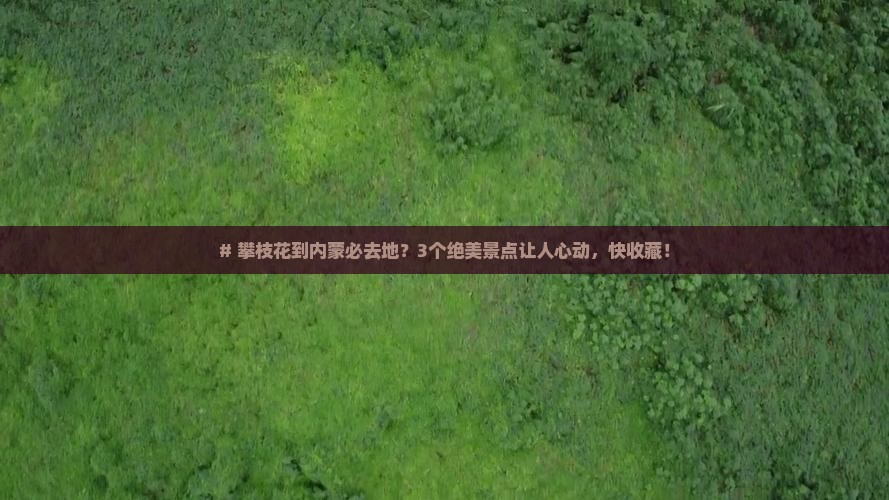 攀枝花到内蒙必去地