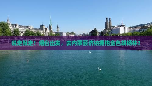 烟台到内蒙额济纳胡杨林自由团