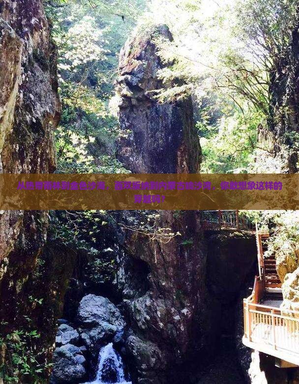 西双版纳到内蒙响沙湾旅游