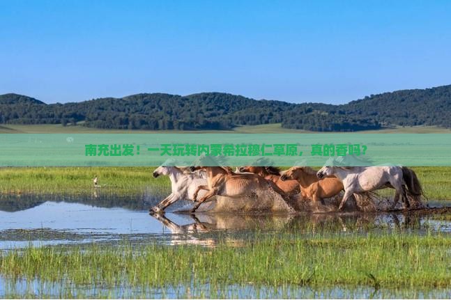 南充到内蒙希拉穆仁草原一日游