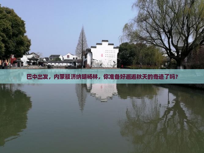 巴中去内蒙额济纳胡杨林旅游