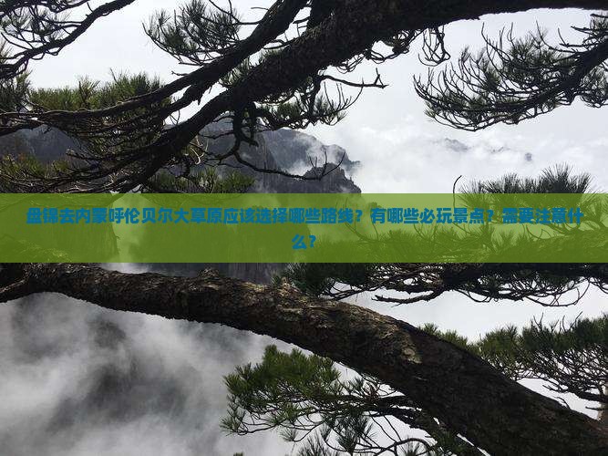 盘锦去内蒙呼伦贝尔大草原哪里玩