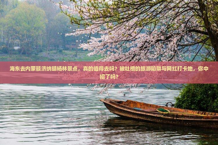 海东去内蒙额济纳胡杨林景点