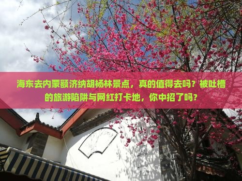 海东去内蒙额济纳胡杨林景点