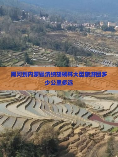 黑河到内蒙额济纳胡杨林大型旅游团