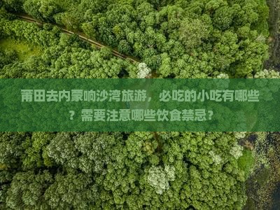 莆田去内蒙响沙湾旅游小吃