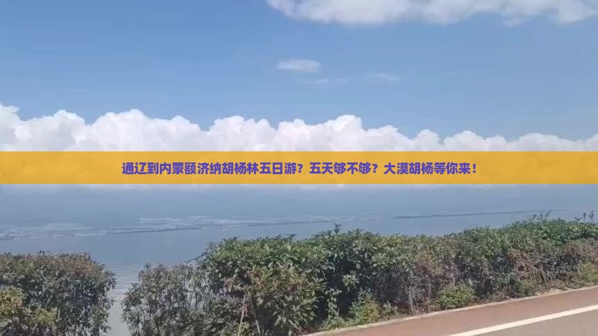通辽到内蒙额济纳胡杨林五日游