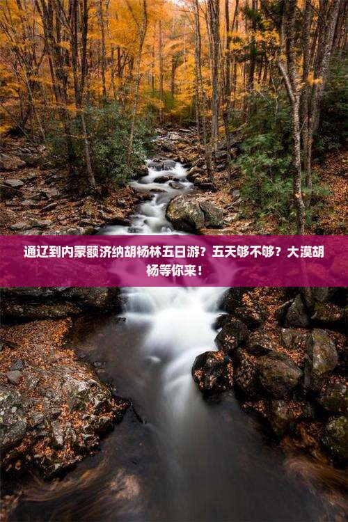 通辽到内蒙额济纳胡杨林五日游