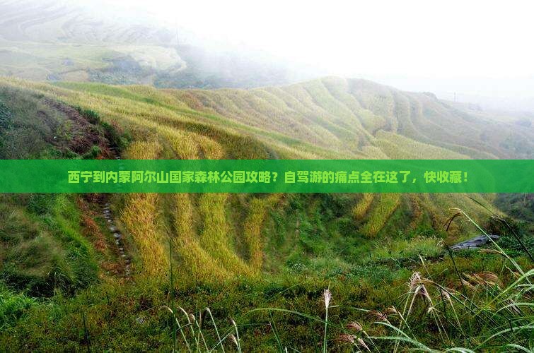 西宁到内蒙阿尔山国家森林公园攻略