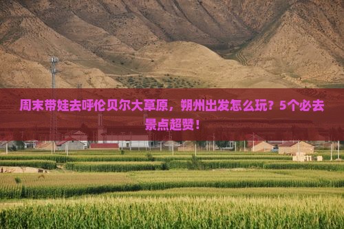 朔州去内蒙呼伦贝尔大草原哪里玩