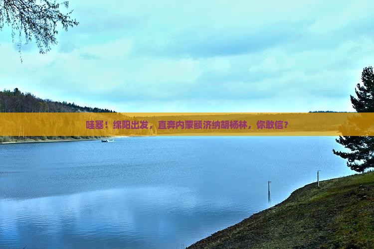 绵阳到内蒙额济纳胡杨林景点