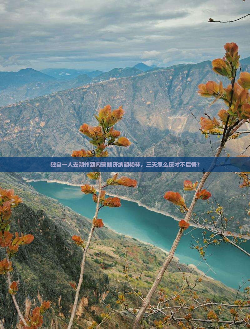 朔州到内蒙额济纳胡杨林个人游