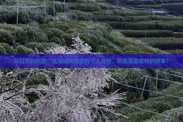 日照到内蒙个人游
