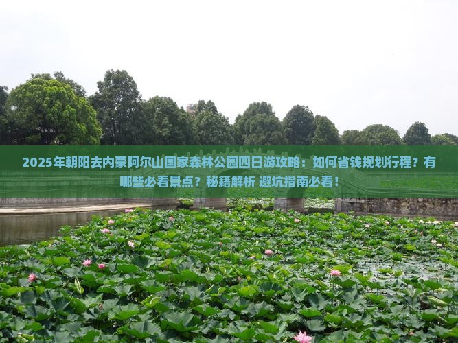 朝阳去内蒙阿尔山国家森林公园四日游
