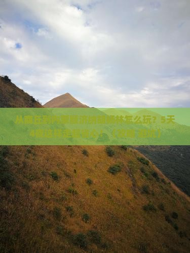 商丘到内蒙额济纳胡杨林哪里玩