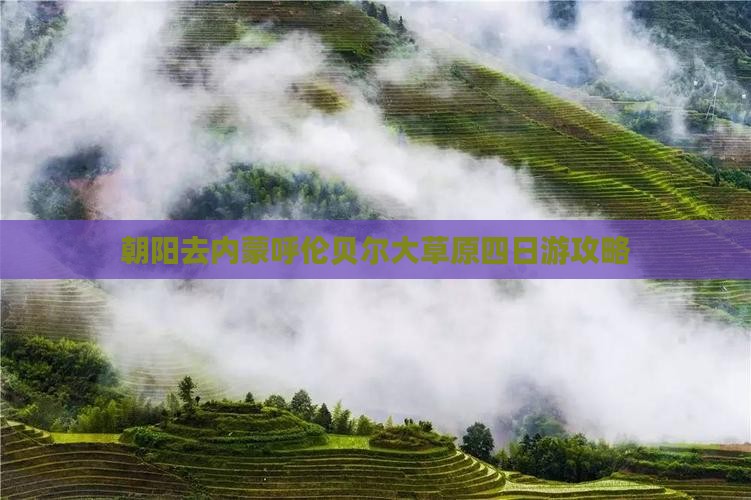朝阳去内蒙呼伦贝尔大草原四日游