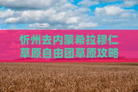 忻州去内蒙希拉穆仁草原自由团