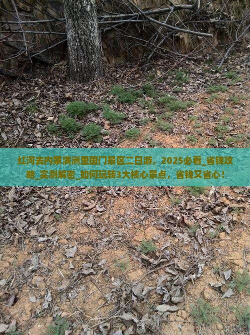 红河去内蒙满洲里国门景区二日游