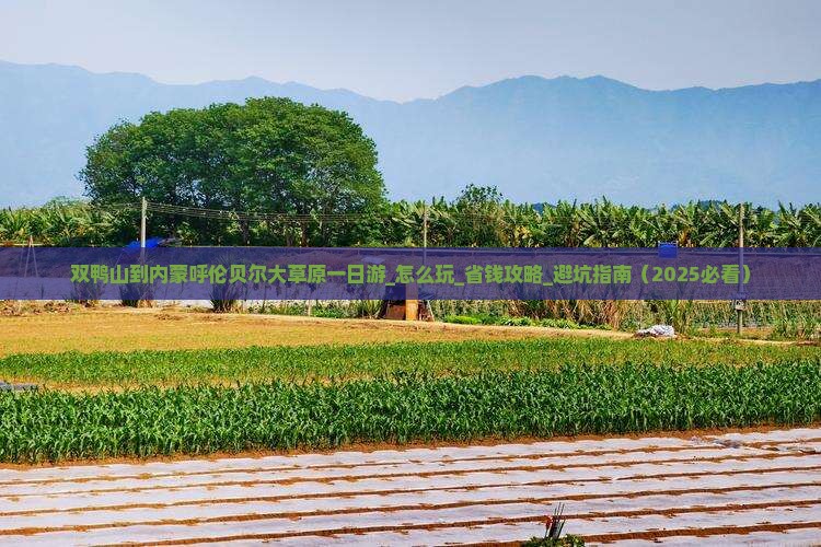 双鸭山到内蒙呼伦贝尔大草原一日游