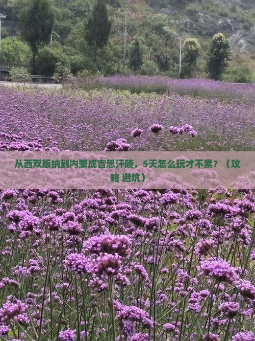 西双版纳去内蒙成吉思汗陵旅游