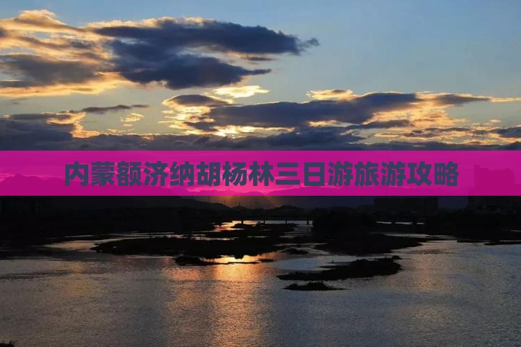 淮南去内蒙额济纳胡杨林三日游