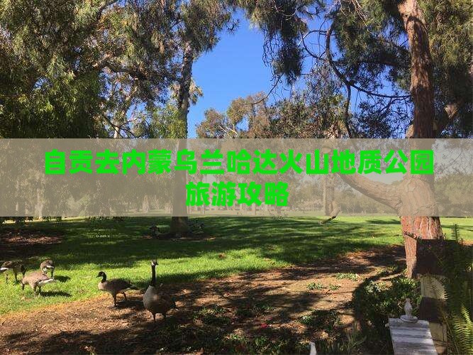 自贡去内蒙乌兰哈达火山地质公园攻略