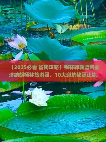 锡林郭勒盟到内蒙额济纳胡杨林大型旅游团