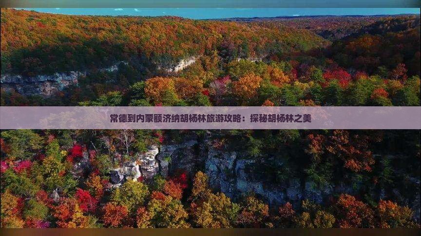 常德到内蒙额济纳胡杨林旅游