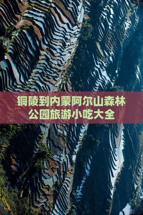 铜陵到内蒙阿尔山国家森林公园旅游小吃