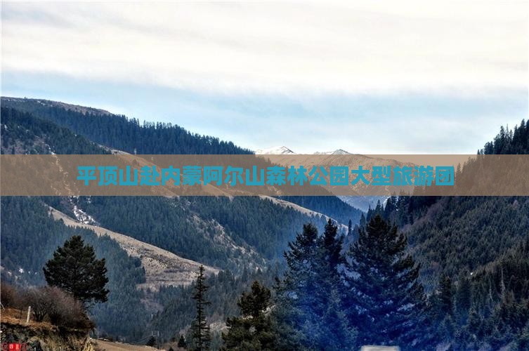 平顶山去内蒙阿尔山国家森林公园大型旅游团