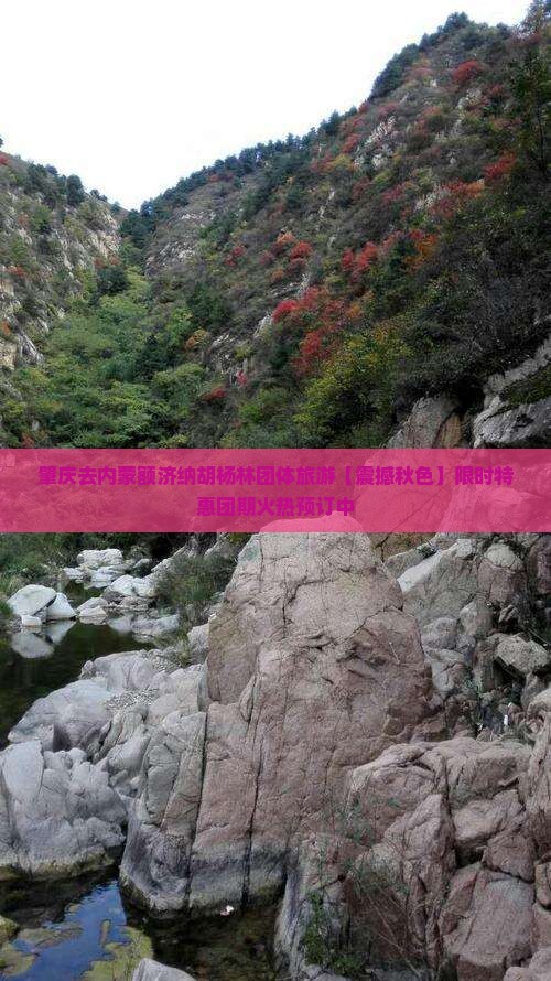 肇庆去内蒙额济纳胡杨林团体旅游