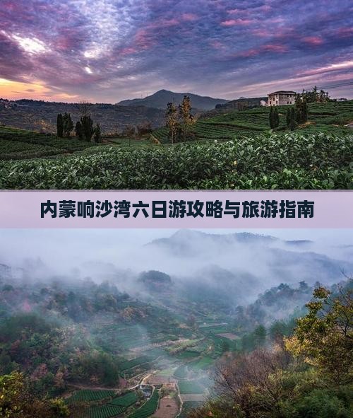 来宾去内蒙响沙湾六日游